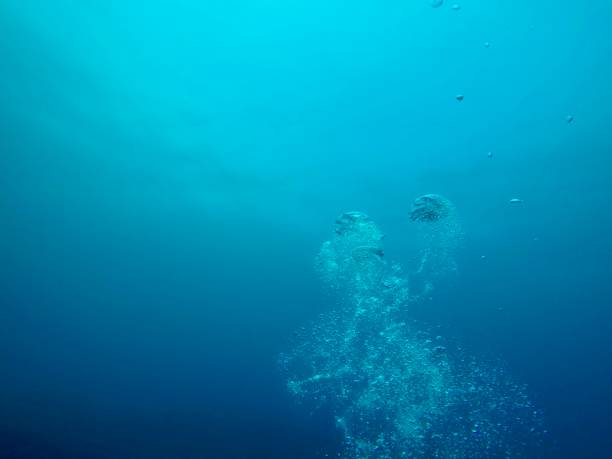 istock Hachijo island photo 960683284