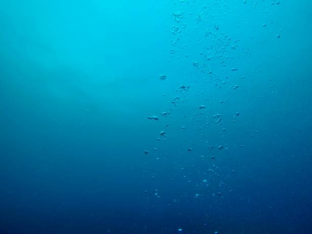 istock Hachijo island photo 960683312
