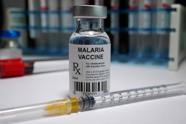 vaccino contro la malaria - malaria parasite foto e immagini stock