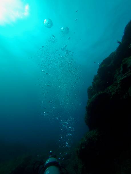istock Hachijo island photo 960683518