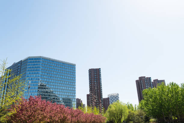 istock Trees and buildings in the summer. 960683832