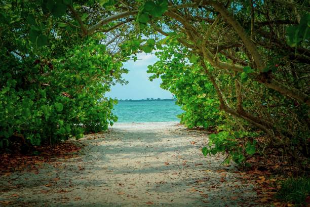 istock Beautiful Tropical View of Ocean 960686280