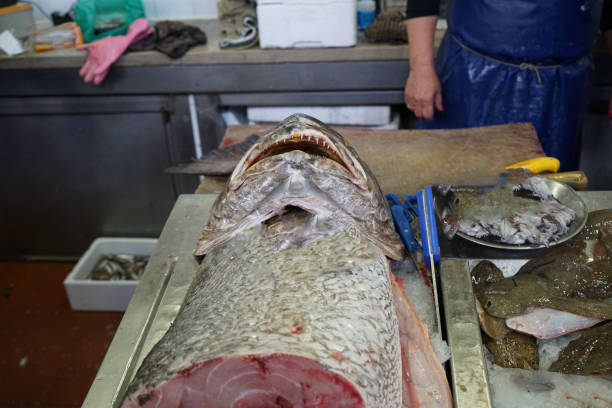 istock Fresh fish on a fish market 960695176