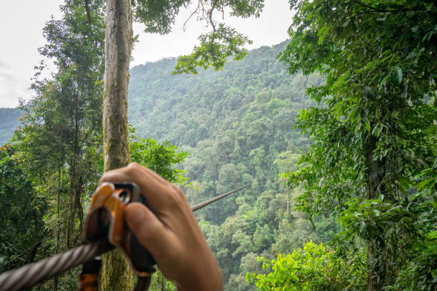 Enjoying with a zipline Adventure across the mountain for watch the scenery of the sky and forest. Enjoying with a zipline Adventure across the mountain for watch the scenery of the sky and forest. zip line stock pictures, royalty-free photos & images