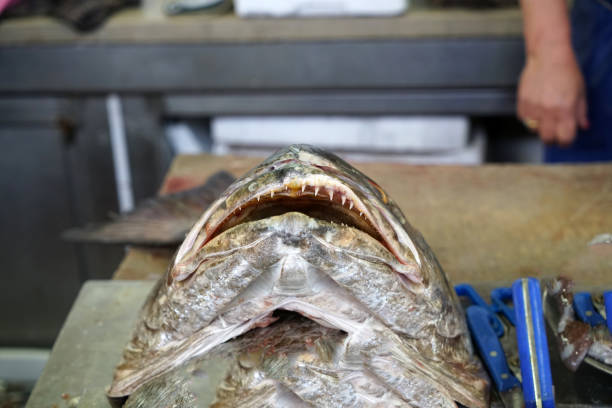 istock Fresh fish on a fish market 960695866