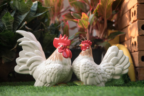 istock Chicken Dolls for garden decoration 960703570