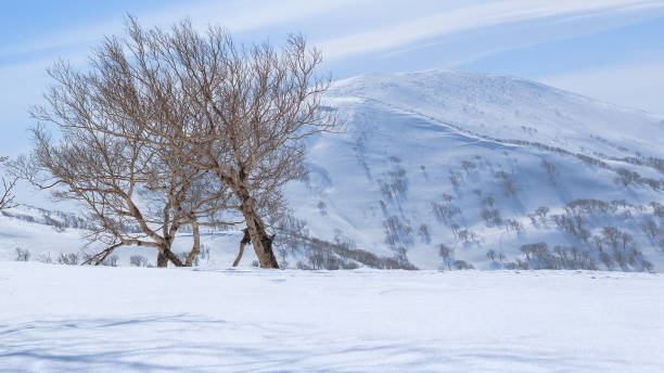 istock Mountain snow at hokkaido 960707806