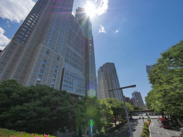 istock Skyscraper group in Shinjuku, Tokyo 960711148