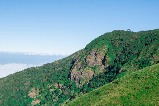 istock Sky, mountain, forest, fog and beautiful views. beautiful nature 960711262