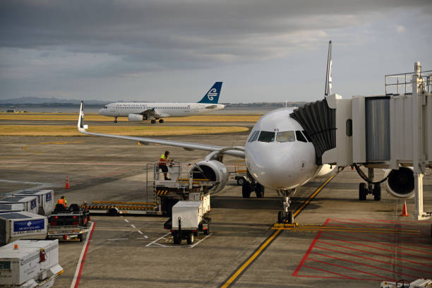 AUCKLAND, NEW ZEALAND, JANUARY 23, 2015: An Air New Zealand jet lands at Auckland Airport while another takes on passengers, Northland, New Zealand on January 23, 2015