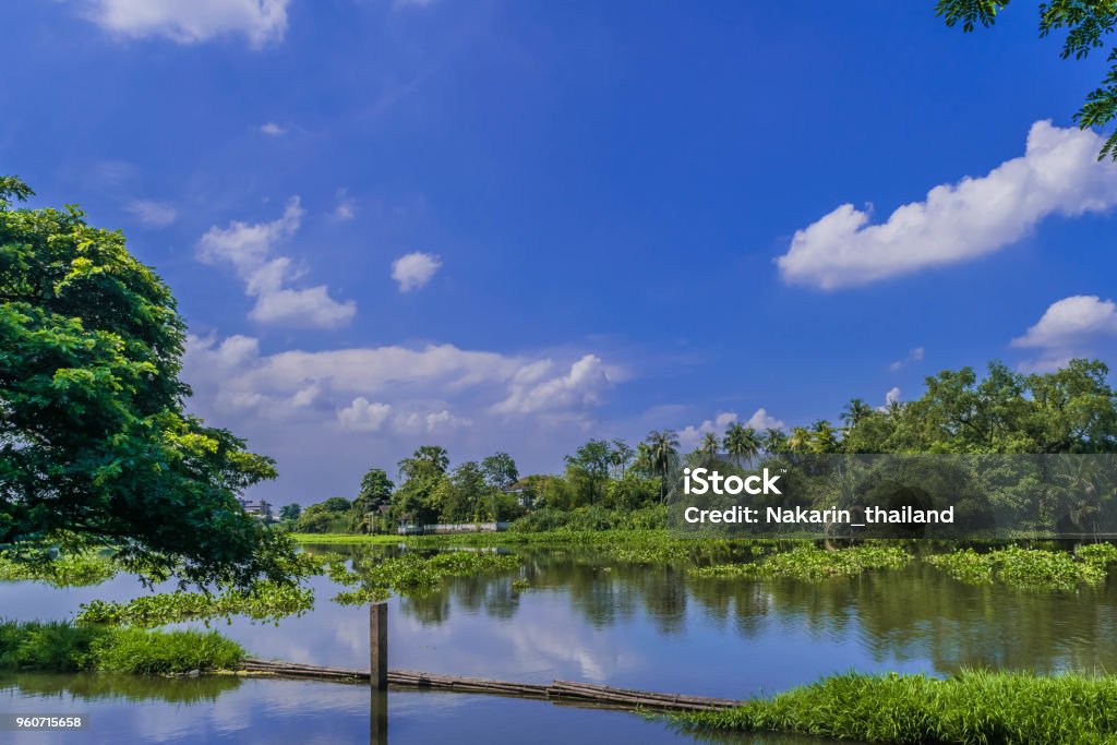 Tha Chin River at day time The river is central to Thailand Tha Chin River at day time The river is central to Thailand. Flow through many provinces such as Nakhon Pathom, Ratchaburi, Samut Sakhon. Agriculture Stock Photo