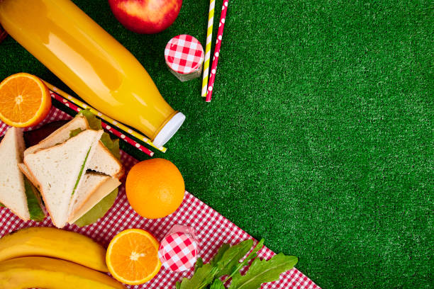 芝生の上でピクニック。赤いチェックのテーブル クロス、バスケット、健康食品サンドイッチ、フルーツ、オレンジ ジュース。平面図です。 夏の時間の残り。フラットが横たわっていた。 - ピクニック 写真 ストックフォトと画像