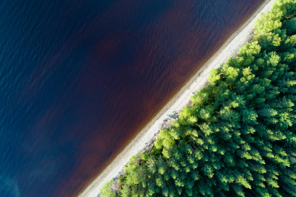 istock Aerial view of empty lake shore with forest 960723542