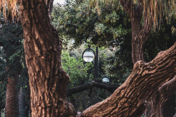 istock Silence in the park 960729750