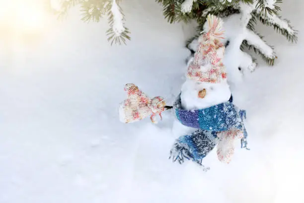 cheerful snowman wearing a scarf, hat and mittens, standing under a tree in the snow top view
