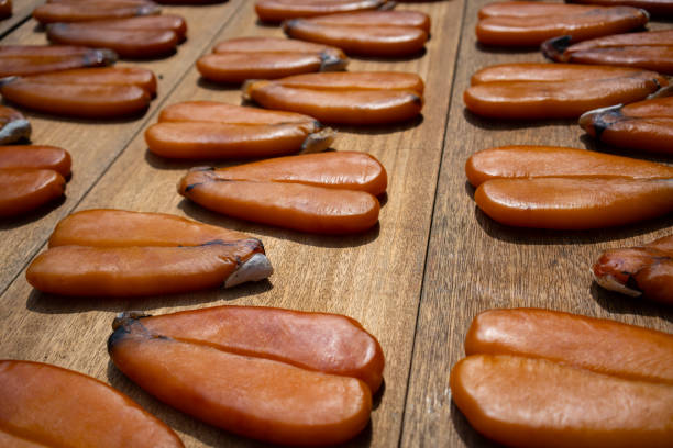 Karasumi mullet roe drying outside in Taiwan
