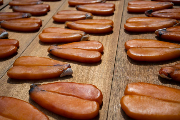 Karasumi mullet roe drying outside in Taiwan Karasumi mullet roe drying outside on a market stand in Taiwan nagasaki prefecture photos stock pictures, royalty-free photos & images