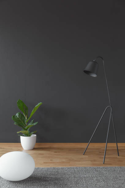 istock Plant and lamp 960742718