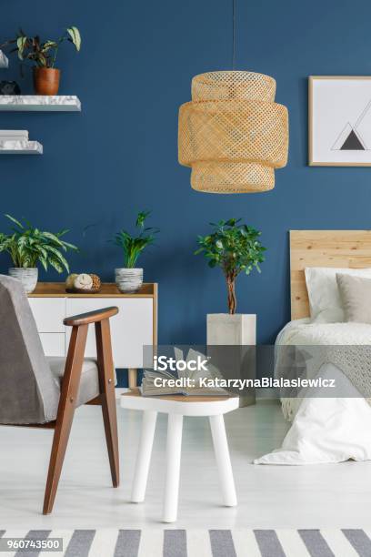Fresh Potted Plants Stock Photo - Download Image Now - Blue, Wall - Building Feature, Apartment