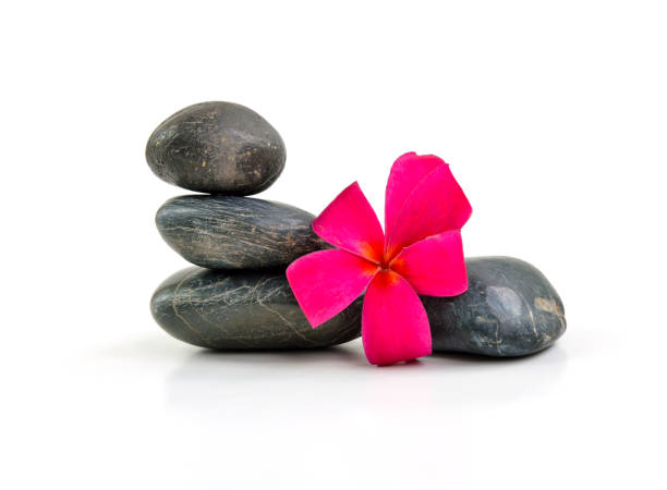 istock Stones pyramid with a plumeria flower 960744574