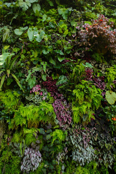 istock Various color and shape of leaves 960749204