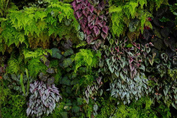 istock Various color and shape of leaves background 960749208
