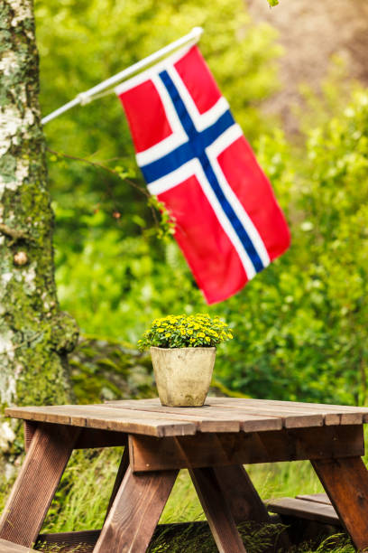 istock norwegian flag and green picnic site 960757876