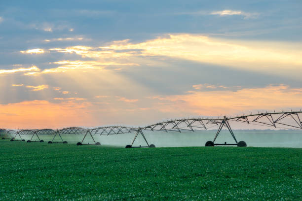 Irrigation system watering agricultural fields stock photo