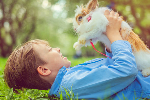 istock Cute boy with rabbit laying on grass in summer 960767720