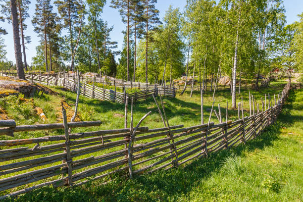 istock Pasture with wooden fence in the forest 960773530