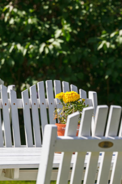 istock Flower on a table with garden furniture 960773564