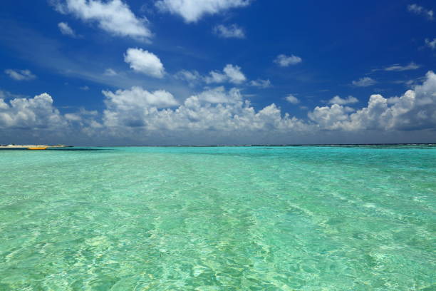 istock Amazing view on horizon line. Turquoise water surface and skyline with white clouds. Gorgeous nature background. Maldives. Indian Ocean. 960773584