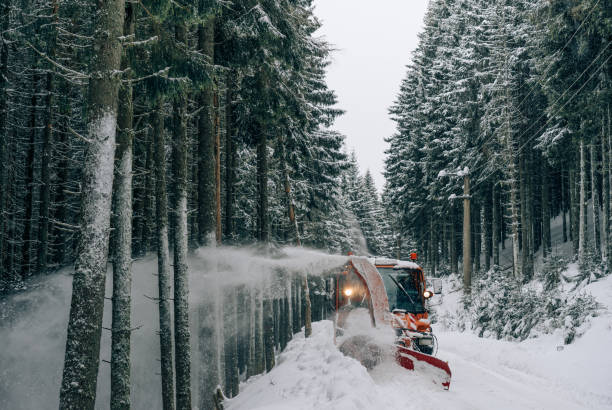 istock Vehicle Amidst Trees During Winter At Forest 960776804