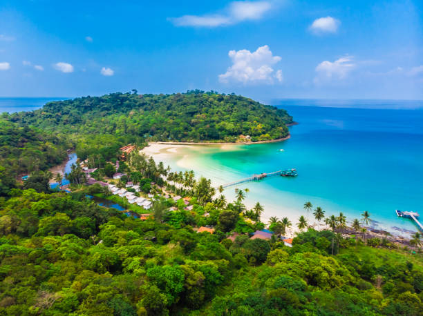 istock High Angle View Of Sea And Trees Against Sky 960784572