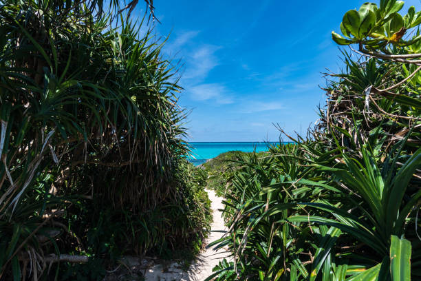 istock Okinawa's fascinating sea 960785268