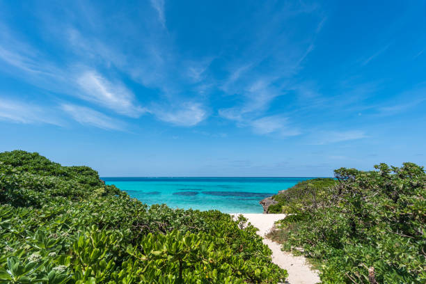 istock Okinawa's fascinating sea 960785274