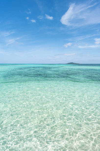 istock Okinawa's fascinating sea 960786076