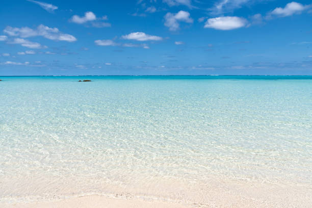 istock Okinawa's fascinating sea 960786540
