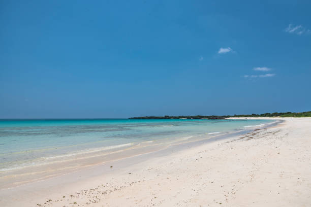 istock Okinawa's fascinating sea 960787030