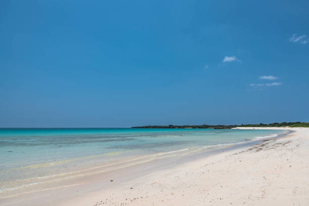 istock Okinawa's fascinating sea 960787036