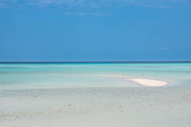 istock Okinawa's fascinating sea 960787114