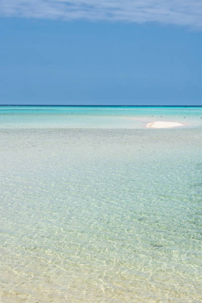 istock Okinawa's fascinating sea 960787188