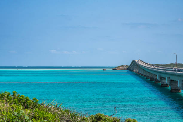 istock Okinawa's fascinating sea 960787198