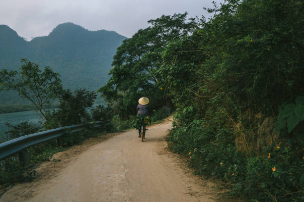 Scenic road in the  jungles at sunset in Vietnam