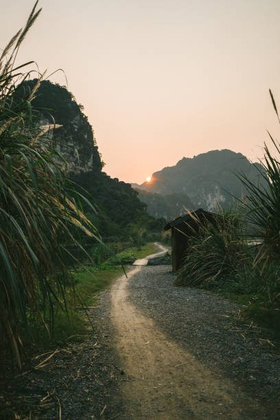 Scenic road in the  jungles at sunset in Vietnam