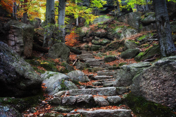 Ancient Stairs in Mountain Forest Mysterious ancient stone stairs in autumn mountain forest karkonosze mountain range photos stock pictures, royalty-free photos & images
