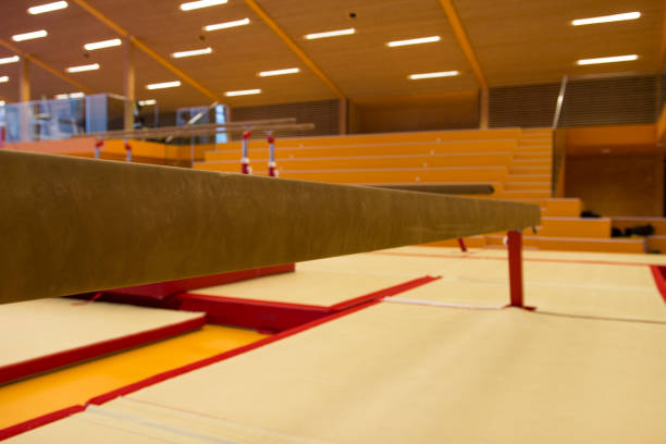 istock Gymnastic equipment in a gymnastic center 960810160