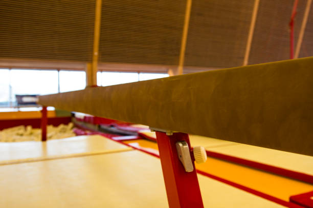 istock Gymnastic equipment in a gymnastic center 960810332