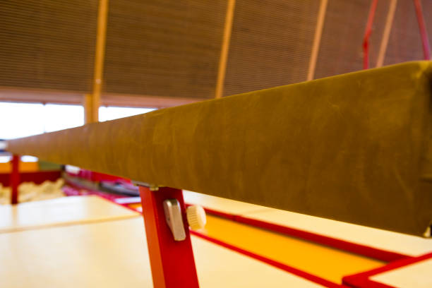 istock Gymnastic equipment in a gymnastic center 960810342