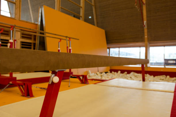 istock Gymnastic equipment in a gymnastic center 960811584